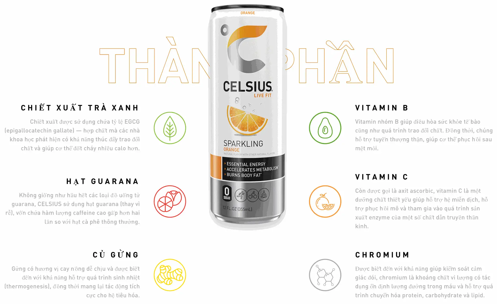 Celsius Cam Infographic