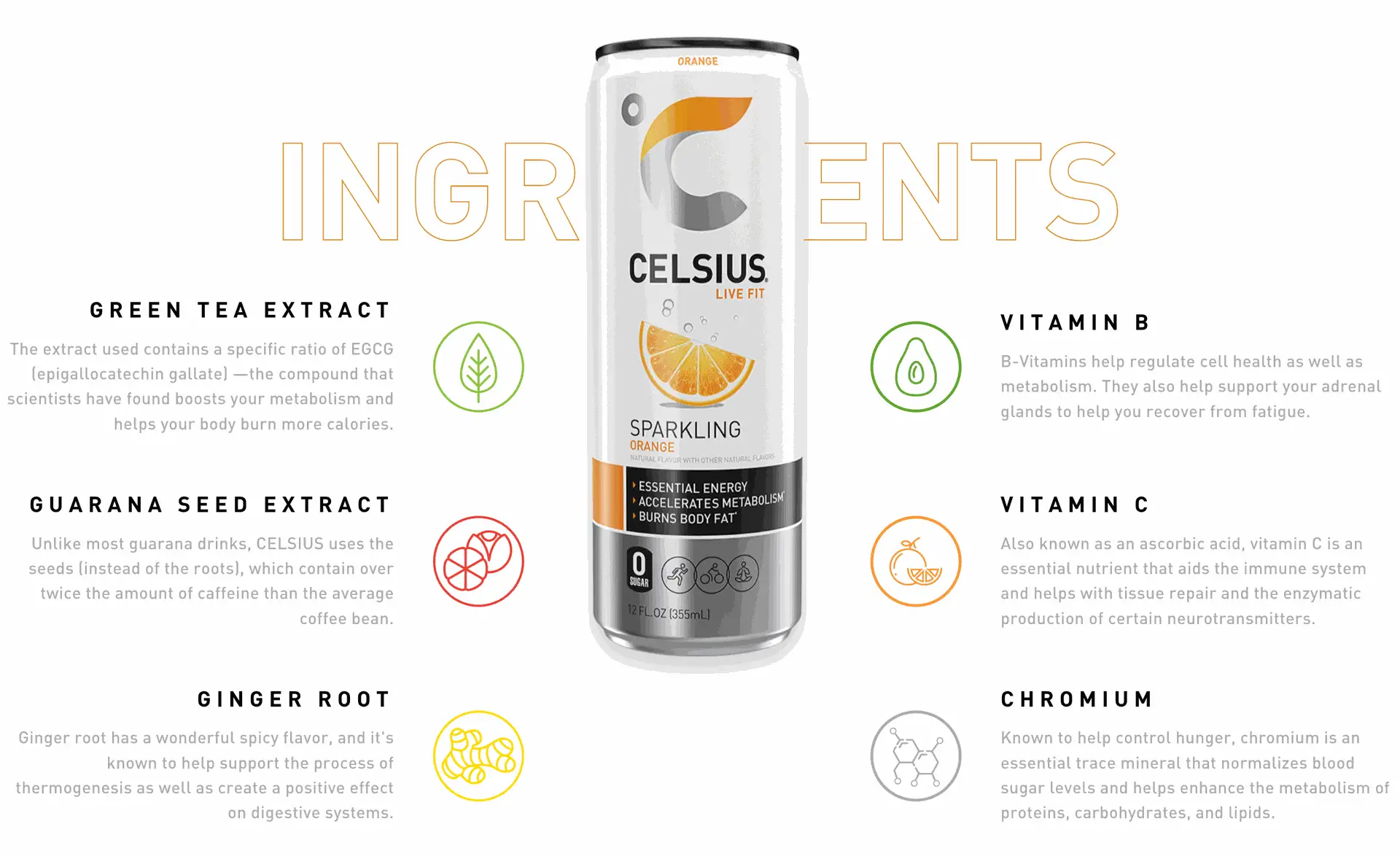 Celsius Orange Infographic