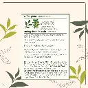 teaworks-09.webp