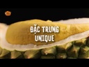 youtube - [Video]