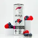 celsius-12.webp