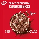 kitkat-06.webp