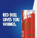 redbull-05.webp