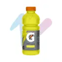 Gatorade Lemon Lime Sports Drink (20 fl oz Bottle)