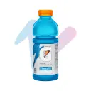 Gatorade Cool Blue Sports Drink (20 fl oz Bottle)